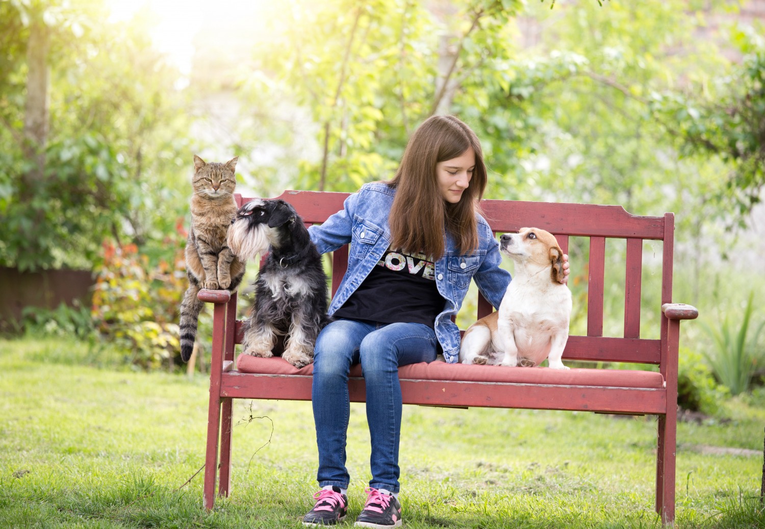 person with pets on bench